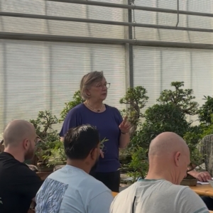 2025 Bonsai Kennismakingsworkshop